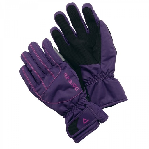 Dare2b Persist Women's Ski Gloves - Purple Storm