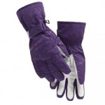 Helly Hansen Textile Women's Ski Glove