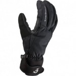 SealSkinz Winter Glove