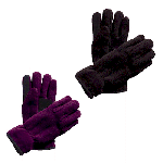 Regatta Eastward Unisex Gloves