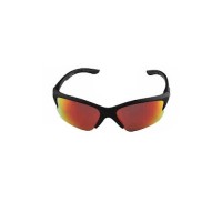 Aspex Erie Ski Sunglasses 